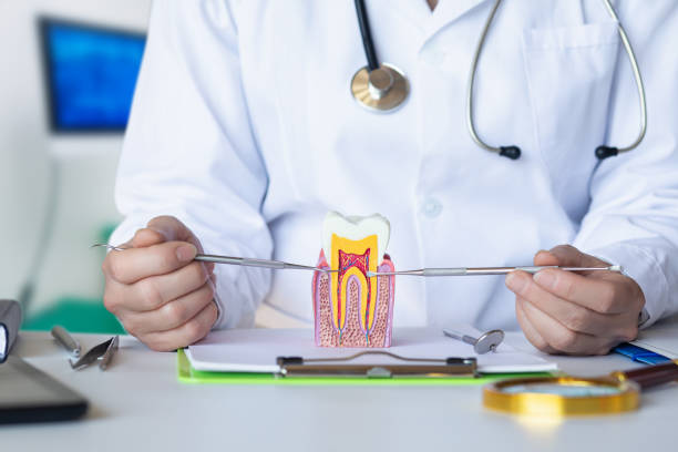 Best Mobile Emergency Dentist in Santa Ynez, CA